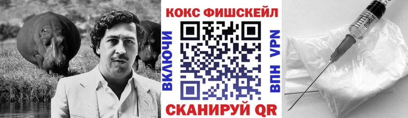 где можно купить   Волхов  Cocaine 99% 