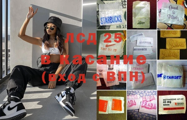 прущие грибы Арсеньев