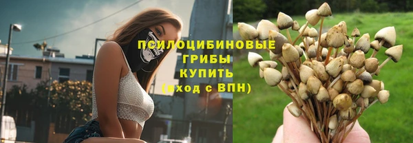 прущие грибы Арсеньев