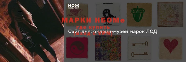 прущие грибы Арсеньев
