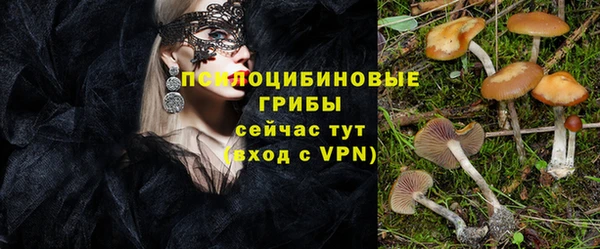 прущие грибы Арсеньев