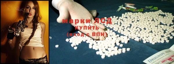 прущие грибы Арсеньев