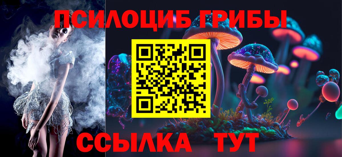 Псилоцибиновые грибы мицелий Волхов