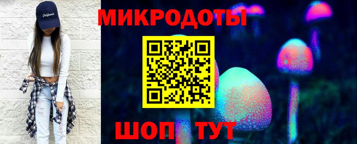 цена наркотик  Вход с VPN  Волхов  Псилоцибиновые грибы Cubensis 