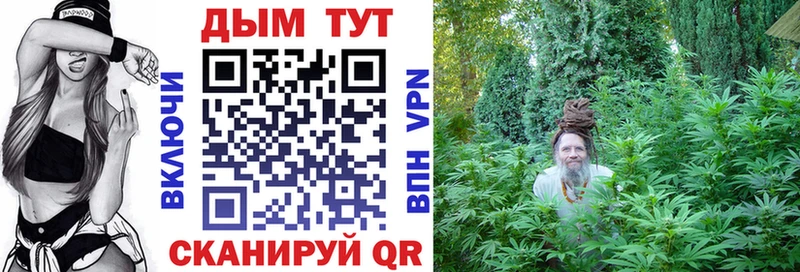 Шишки марихуана White Widow  купить закладку  Волхов 