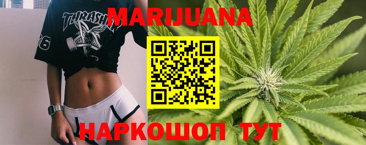 Канабис план Волхов